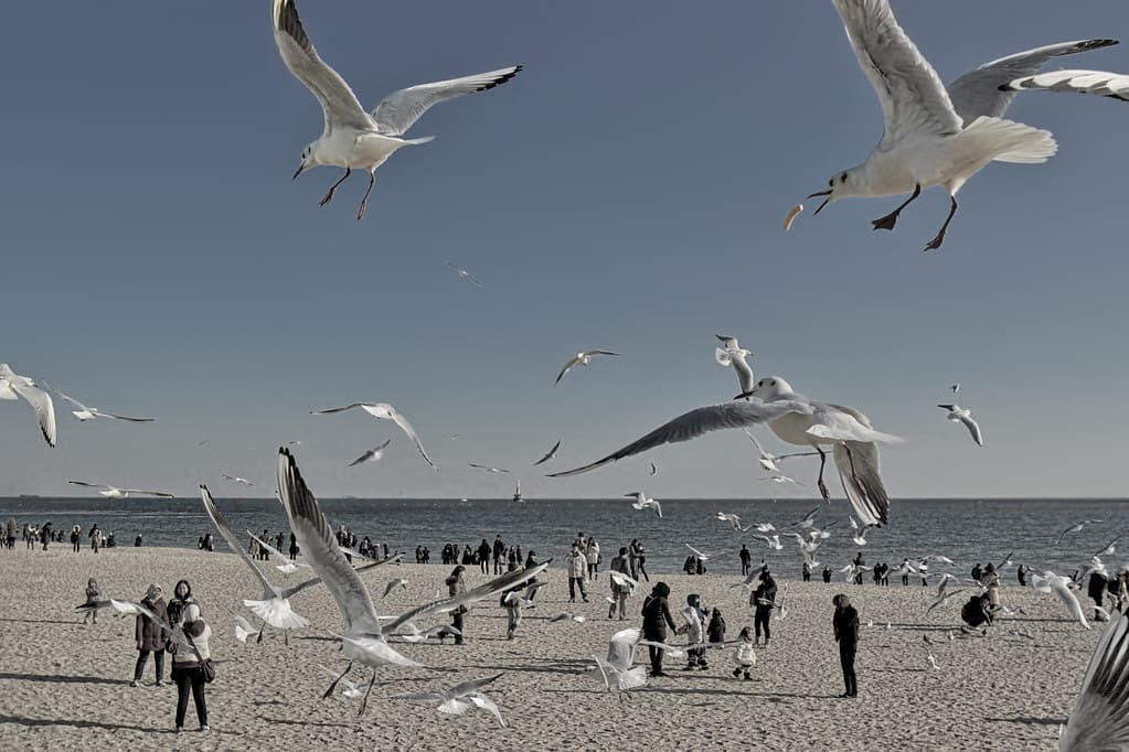 시간은 이렇게 멈출까?